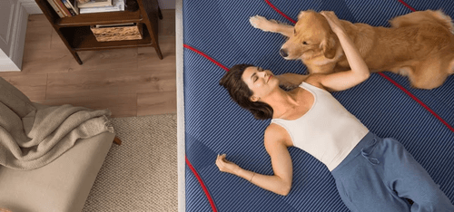 A woman and dog laying on a Posturepedic Elite Hybrid mattress 2