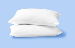 Sealy_Pillow_Bundle_Images_0000_Pillows.origina.original (1)