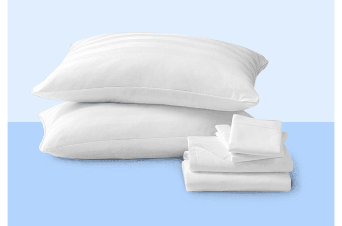 Sealy pillow bundle set