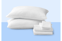 Sealy pillow bundle set
